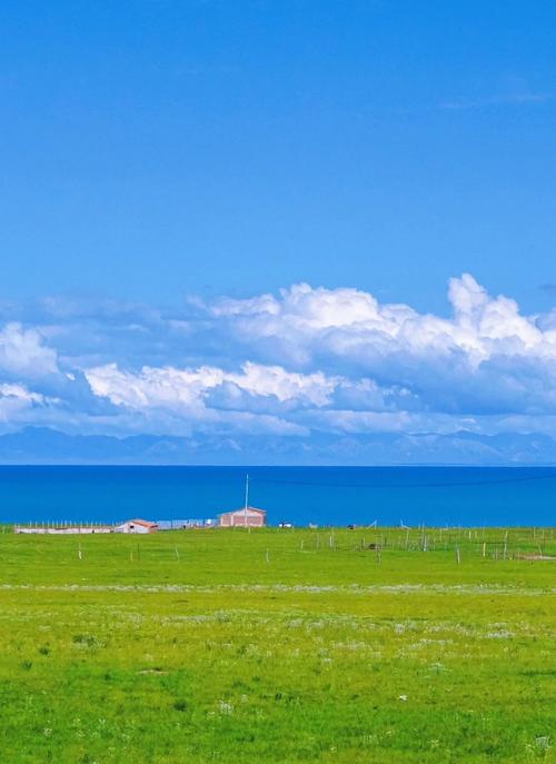 Schools boost property with buying spree